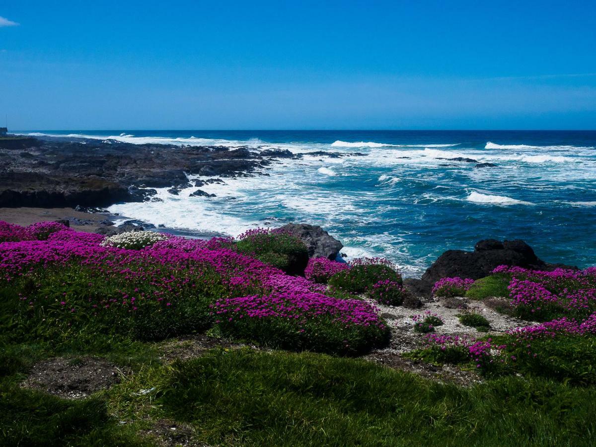 Overleaf Lodge And Spa Yachats Bagian luar foto